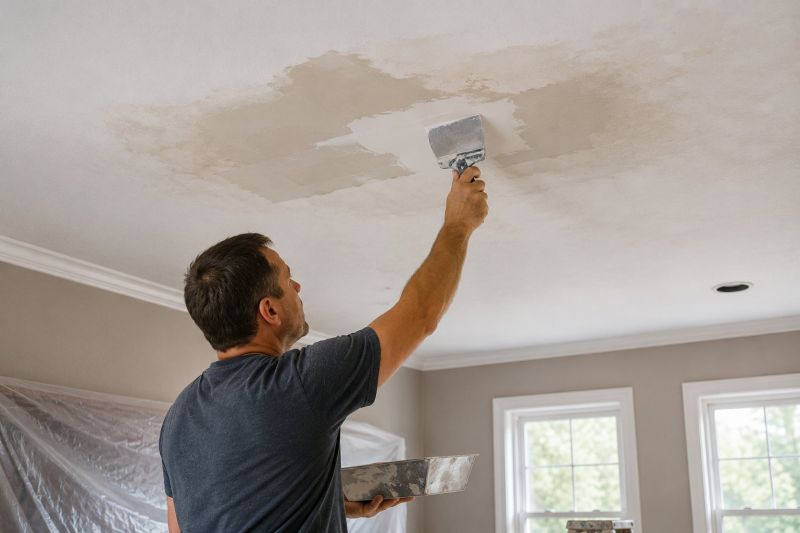 Leaking Ceiling Repair in Denver, CO